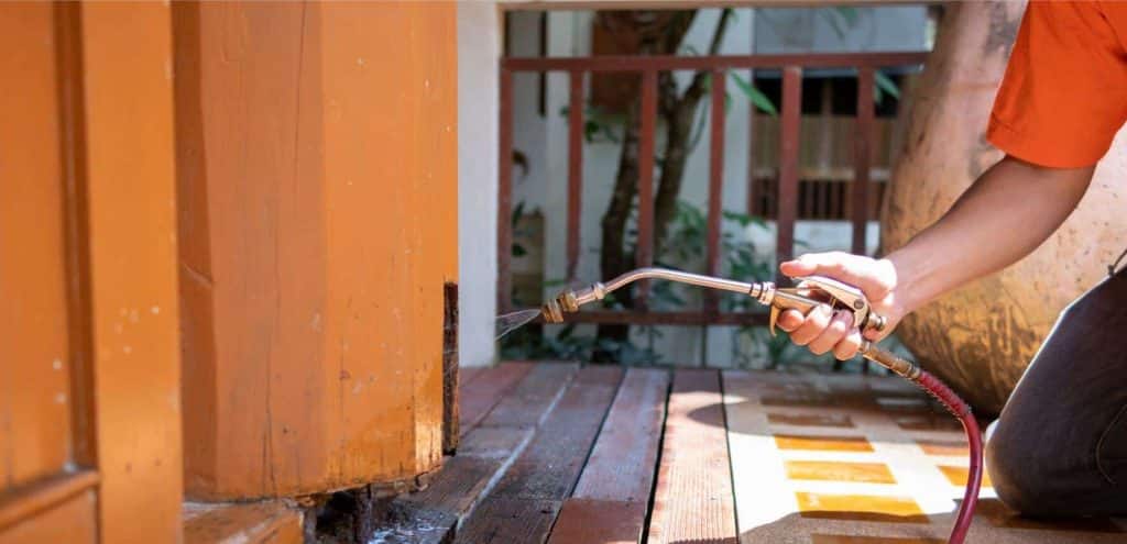 Ant control 101 – identify, prevent, and eliminate infestations ant control 101 – identify, prevent, and eliminate infestations