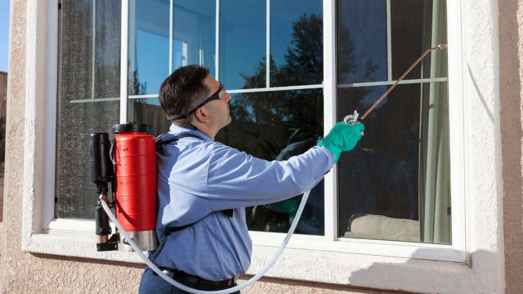 The worst pests for your home and how they cause damage the worst pests for your home and how they cause damage