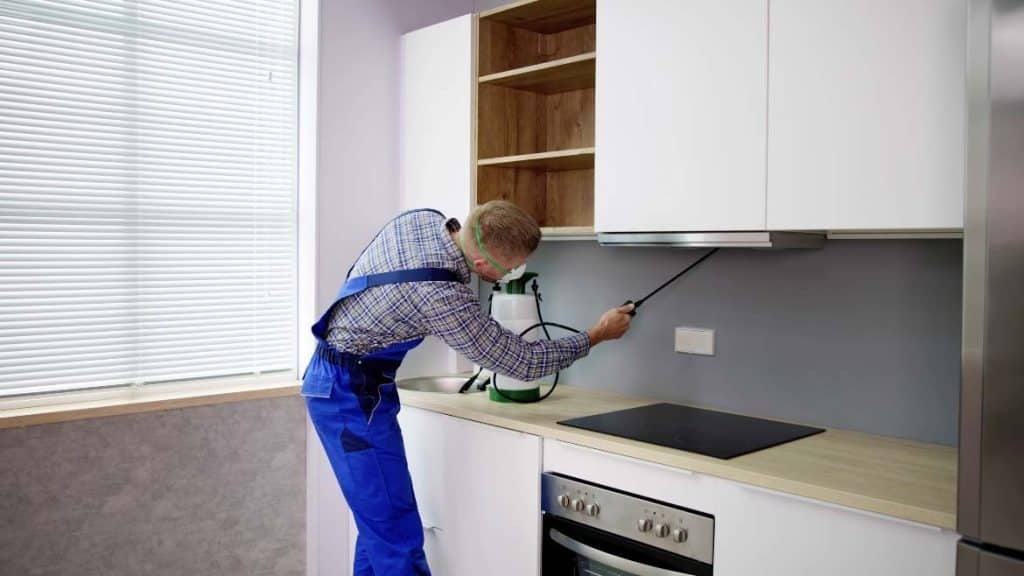 How often should you do pest control? how often should you do pest control?