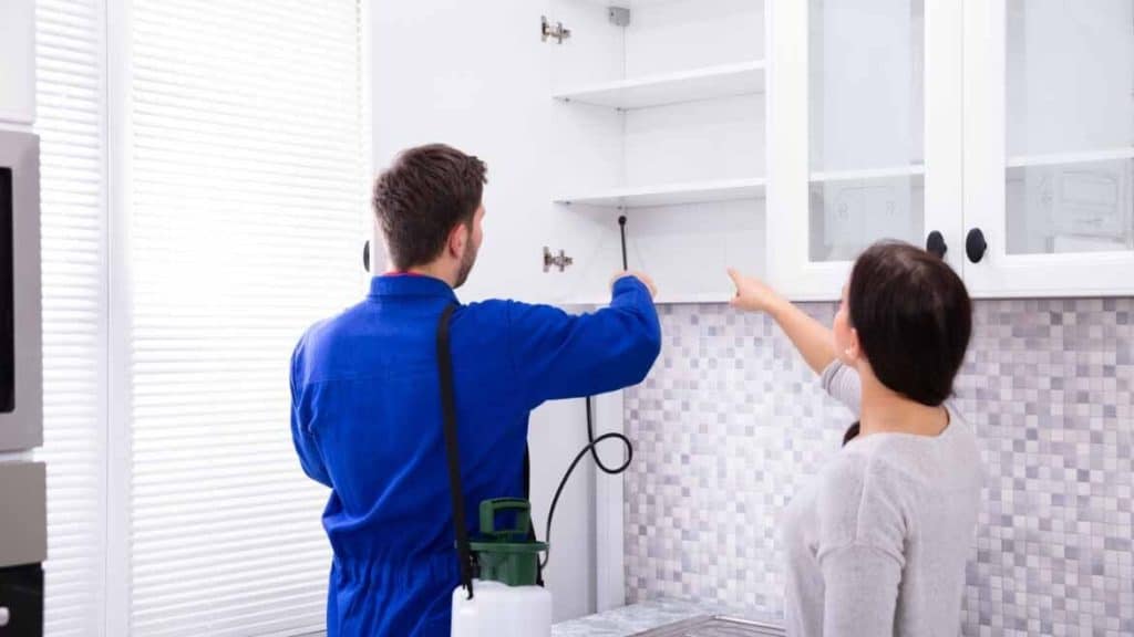 Risks to health & property when infestations go untreated. risks to health & property when infestations go untreated.