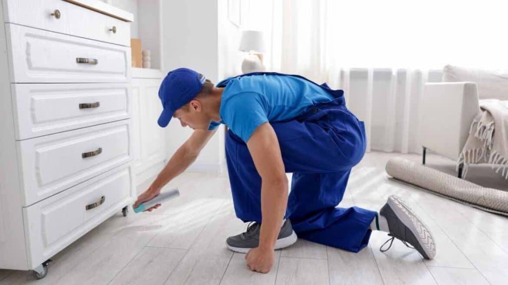 pest control for homes vs. businesses: what you should know