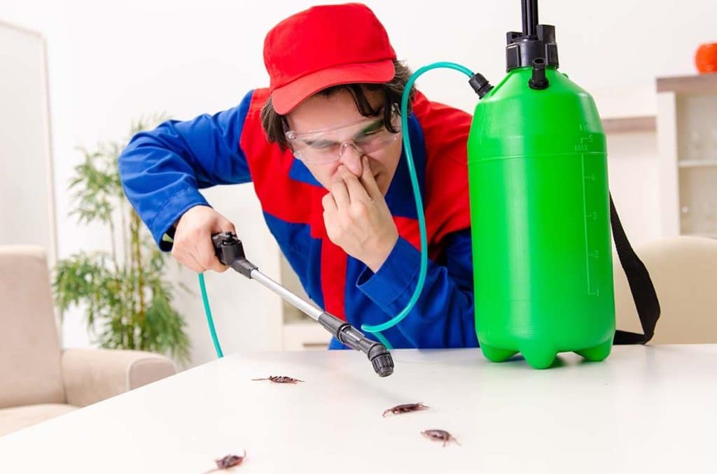 What’s that smell? Identifying odors caused by pests what’s that smell identifying odors caused by pests