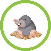 Pest control in folsom, ca | starting at $40 vole & mole