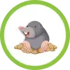 vole & mole